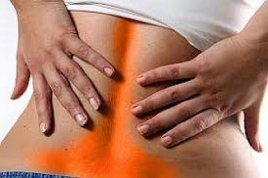 Lower Back Pain. Medical Herb Lab